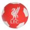 Liverpool Studsboll (finns)