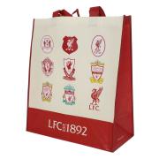 liverpool-ateranvandbar-shoppingpase-1