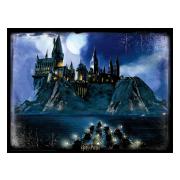 Harry Potter 3d Pussel 500 Bitar Hogwarts Night