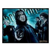 Harry Potter 3d Pussel 500 Bitar Slytherin