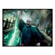 Harry Potter 3d Pussel 500 Bitar Voldemort