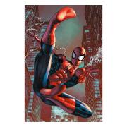 Spider-man Affisch Web Sling 70