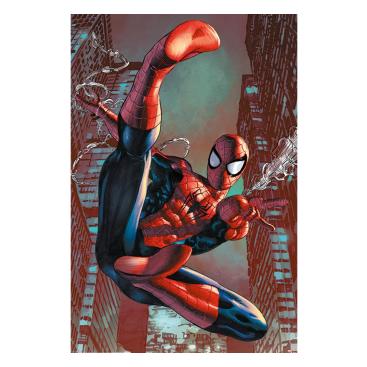 Spider-man Affisch Web Sling 70