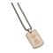 Tottenham Hotspur Dog Tag Med Kedja Icon