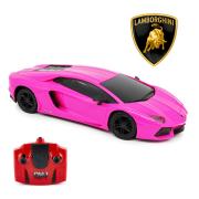 lamborghini-aventador-rosa-radiostyrd-bil-1