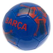 fc-barcelona-fotboll-sp-1