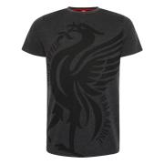 Liverpool T-shirt Liverbird Charcoal