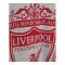 Liverpool T-shirt Grå Crest