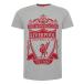 Liverpool T-shirt Grå Crest