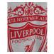 Liverpool T-shirt Grå Crest