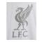 Liverpool T-shirt Liverbird Dam Ice Marl