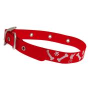 Liverpool Hundhalsband Small