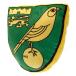 Norwich City Kudde Crest