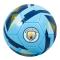 Manchester City Fotboll Rx