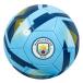 Manchester City Fotboll Rx