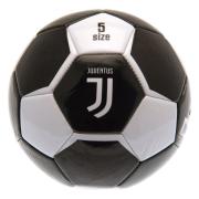 Juventus Fotboll Juve