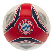 bayern-munchen-fotboll-1