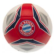 bayern-munchen-fotboll-1