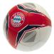 Bayern München Fotboll