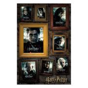 harry-potter-affisch-portratt-72-1