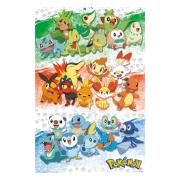 Pokemon Affisch First Partners 144