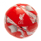 Liverpool Fotboll Nb
