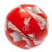 Liverpool Fotboll Nb