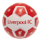 Liverpool Fc Fotboll Hx Storlek 3