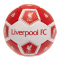 Liverpool Fotboll Hx Storlek 3
