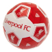 Liverpool Fotboll Hx Storlek 3