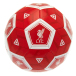 Liverpool Fotboll Hx Storlek 3