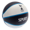 Tottenham Hotspur Basketboll