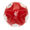 Liverpool Fotboll Mini Mjuk