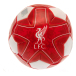 Liverpool Fotboll Mini Mjuk