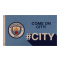 Manchester City Fc Flagga Sl