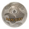 Manchester City Fotboll Camo Signature