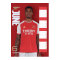 Arsenal Väggkalender 2024