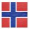 Norge Servetter Flagga