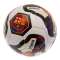 Barcelona Fotboll Tr