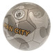 Manchester City Fotboll Camo Signature