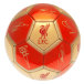 Liverpool Fc Fotboll Sig 26