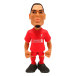 Liverpool Minix Figur Van Dijk