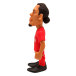 Liverpool Minix Figur Van Dijk