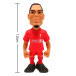 Liverpool Minix Figur Van Dijk