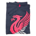 Liverpool Huvtröja Mörkblå