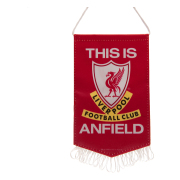 Liverpool Vimpel Mini Tia