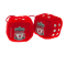 Liverpool Hanging Dice