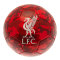 Liverpool Fotboll Camo 3