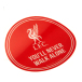 Liverpool Dekal Ynwa