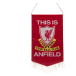 Liverpool Vimpel Mini Tia